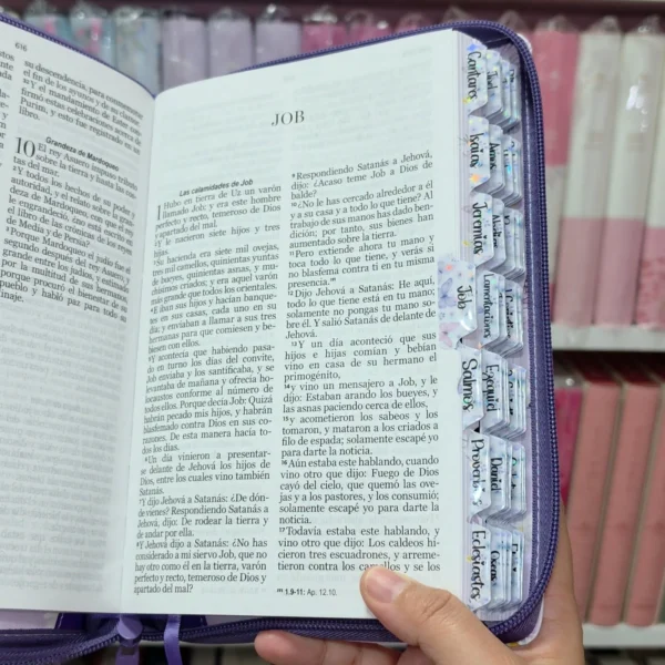 Biblia Personalizada Morada con Mariposas - Letra Grande de 12 Puntos - Reina Valera 1960 - Tamaño Regular con Cierre - Español