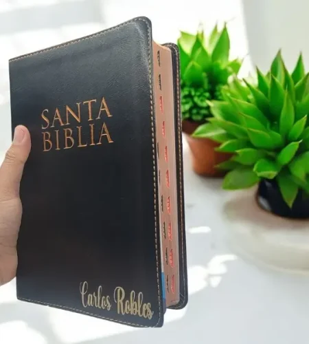 deniashop.com-biblia-rvr-1960 (1)